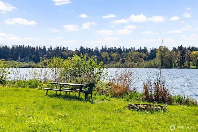 16538 SE 19th St, Bellevue, WA 98008