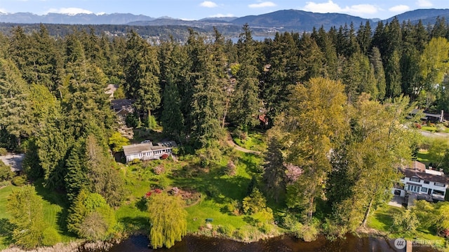 16538 SE 19th St, Bellevue, WA 98008