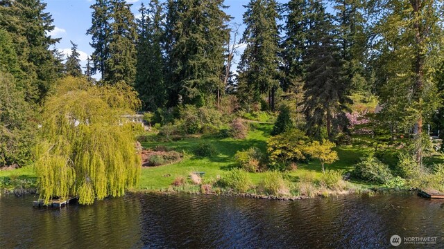 16538 SE 19th St, Bellevue, WA 98008