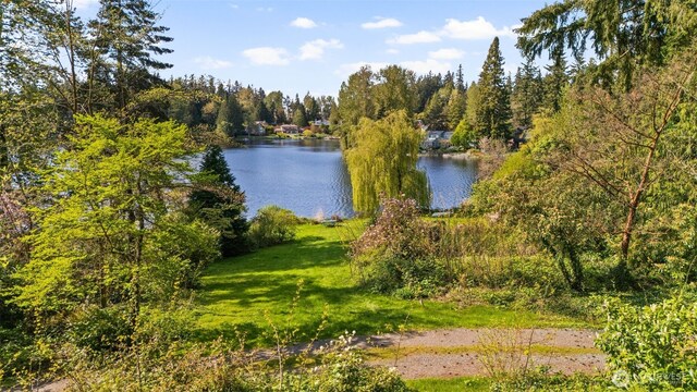 16538 SE 19th St, Bellevue, WA 98008