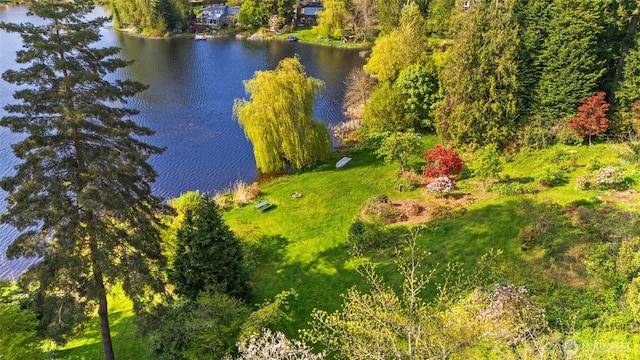16538 SE 19th St, Bellevue, WA 98008