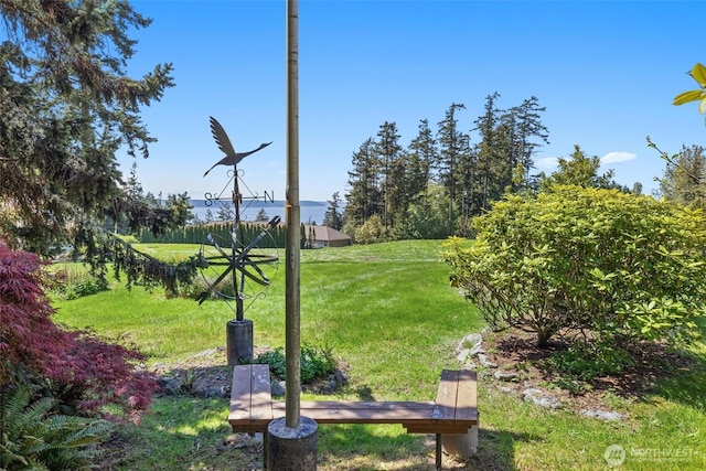 565 Olympic View Ln, Camano Island, WA 98282 - view of green lawn