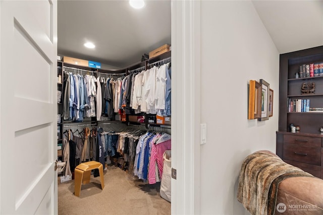 spacious closet with carpet floors