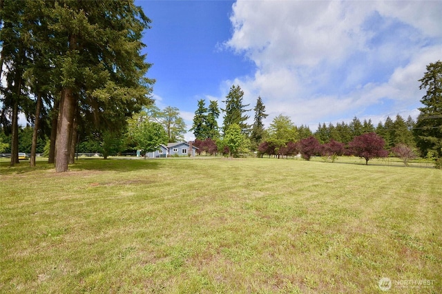 20005 Carper Rd SW, Rochester, WA 98579 - view of grassy yard