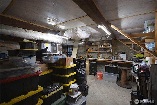 20005 Carper Rd SW, Rochester, WA 98579 - unfinished below grade area featuring a workshop area
