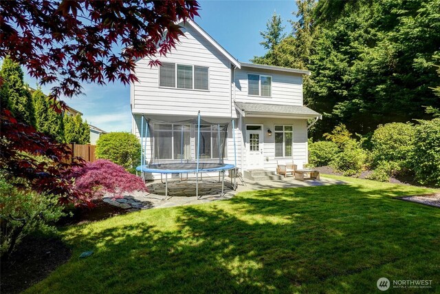 back of house featuring a lawn, a patio, and entry steps