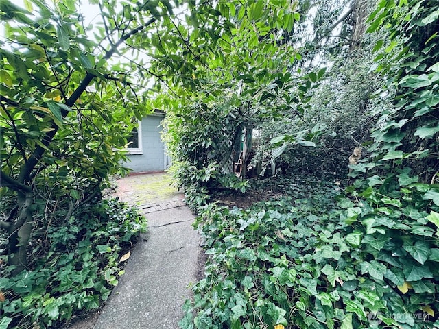 22907 60th Ave W, Mountlake Terrace, WA 98043 - view of yard