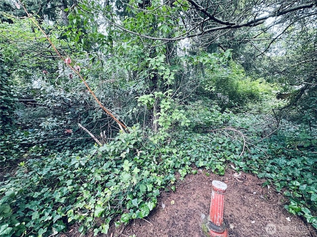 22907 60th Ave W, Mountlake Terrace, WA 98043 - view of nature