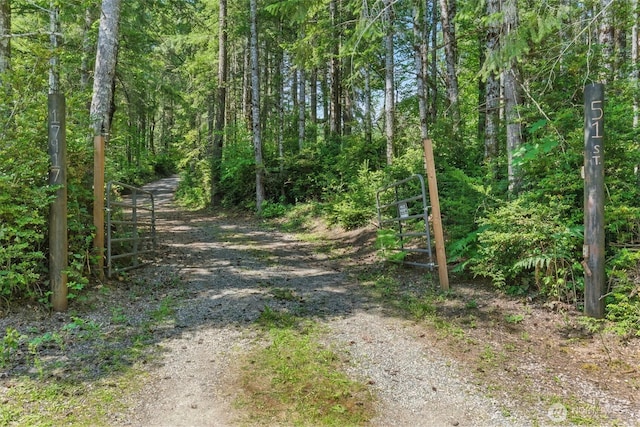 17913 51st St NW, Vaughn, WA 98394 - view of street with a gate, a forest view, and a gated entry