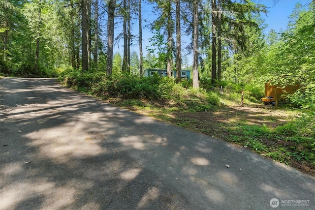 17913 51st St NW, Vaughn, WA 98394 - view of asphalt driveway