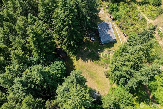 17913 51st St NW, Vaughn, WA 98394 - drone / aerial view