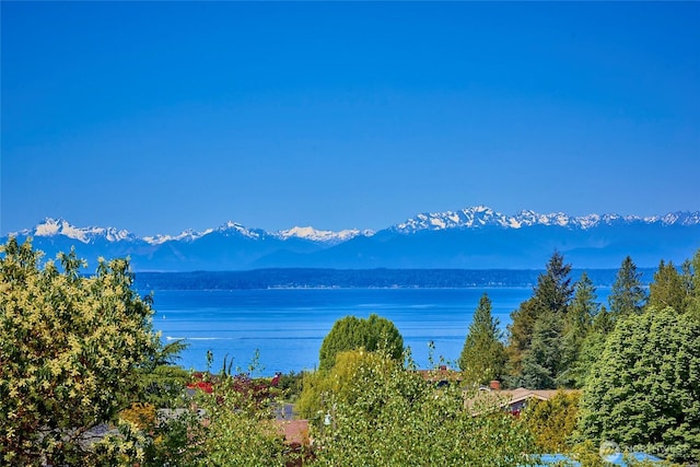 12747 9th Ave NW, Seattle, WA 98177 - water view with mountains