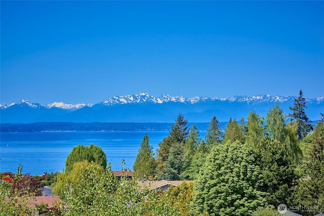 12747 9th Ave NW, Seattle, WA 98177 - water view with a mountain backdrop