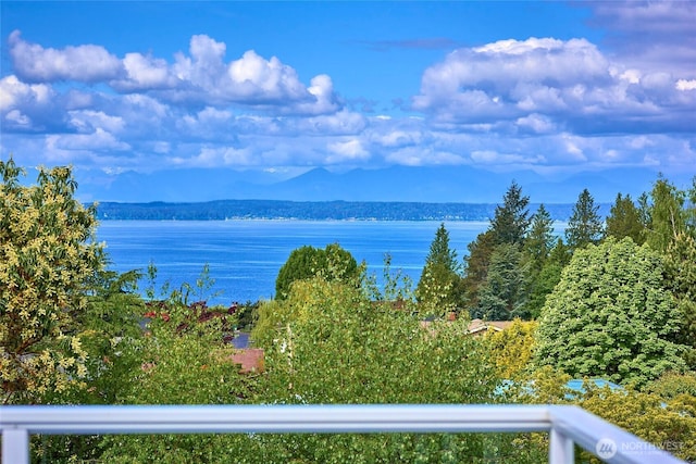 12747 9th Ave NW, Seattle, WA 98177 - water view