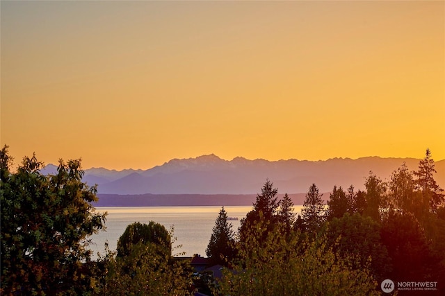12747 9th Ave NW, Seattle, WA 98177 - view of mountain backdrop with a nearby body of water