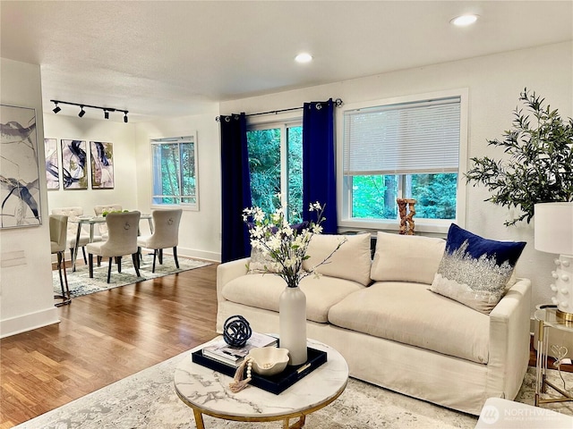 11054 NE 33rd Pl Unit B1, Bellevue, WA 98004 - living area with wood finished floors, healthy amount of natural light, baseboards, and recessed lighting
