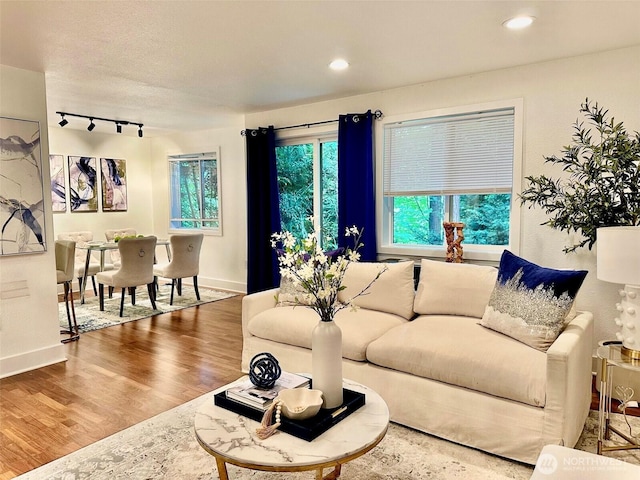 11054 NE 33rd Pl Unit B1, Bellevue, WA 98004 - living area with wood finished floors, healthy amount of natural light, recessed lighting, and track lighting