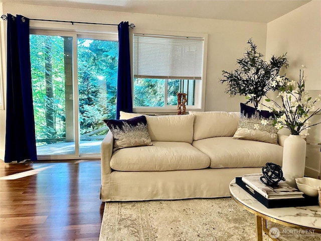 11054 NE 33rd Pl Unit B1, Bellevue, WA 98004 - living room with wood finished floors and plenty of natural light
