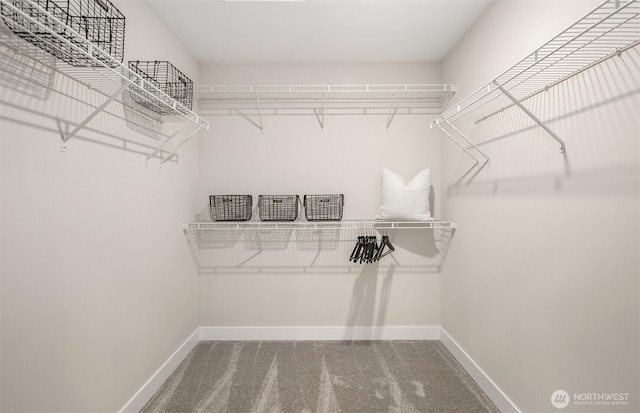 spacious closet featuring carpet floors