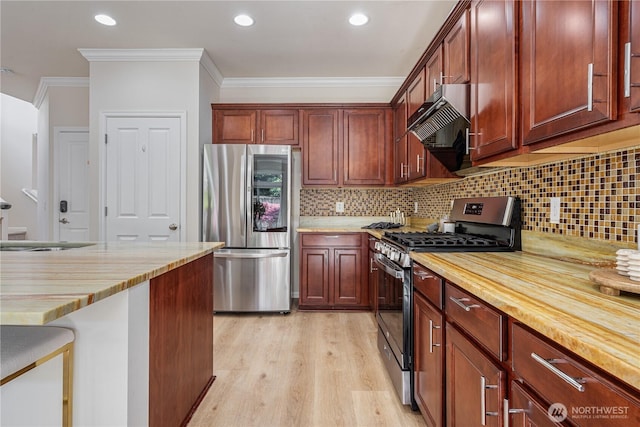 kitchen featuring appliances with stainless steel finishes, a sink, ventilation hood, light wood-type flooring, and tasteful backsplash