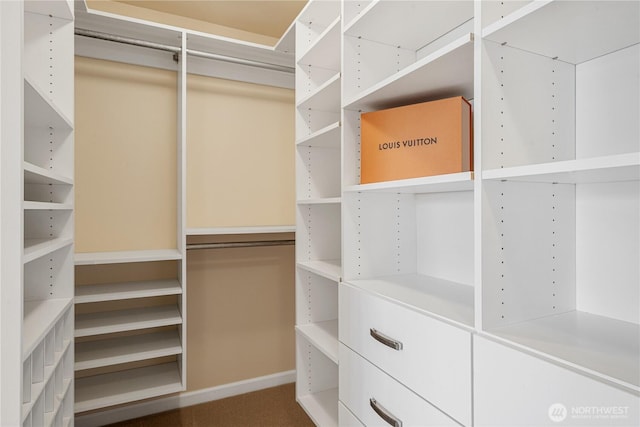 view of walk in closet