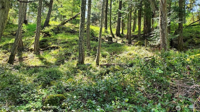 0LOT2 Harborview Ln, Orcas Island, WA 98243