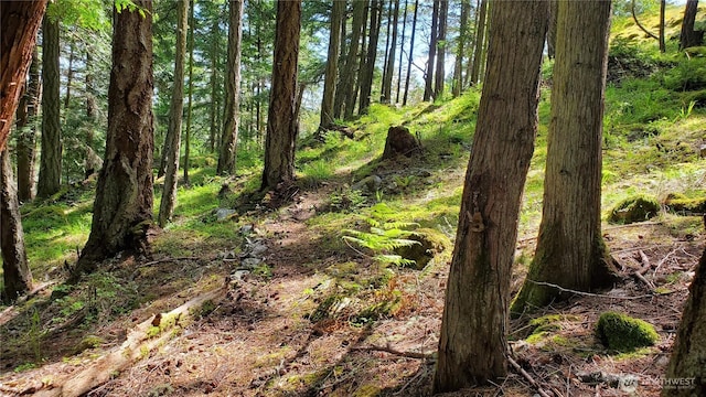 0LOT2 Harborview Ln, Orcas Island, WA 98243