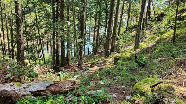 0LOT2 Harborview Ln, Orcas Island, WA 98243