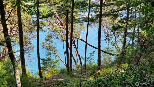 0LOT2 Harborview Ln, Orcas Island, WA 98243