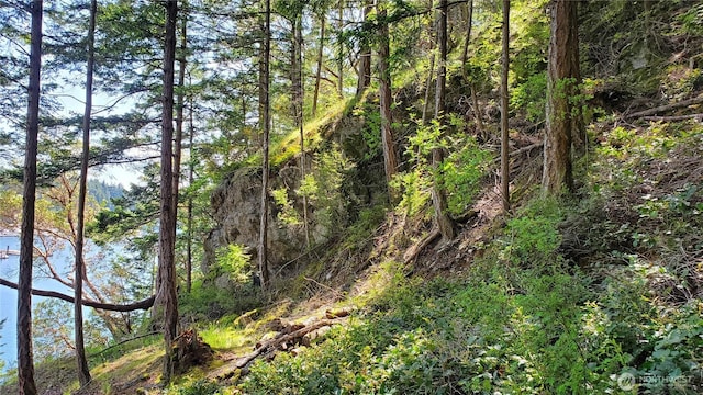 0LOT2 Harborview Ln, Orcas Island, WA 98243