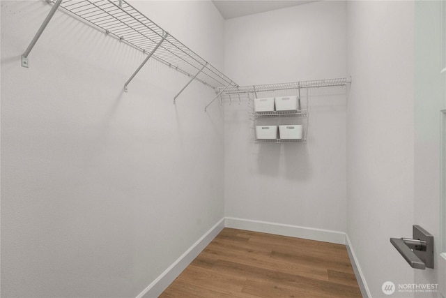 spacious closet featuring wood finished floors
