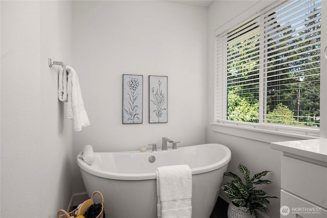 full bath featuring vanity and a freestanding tub
