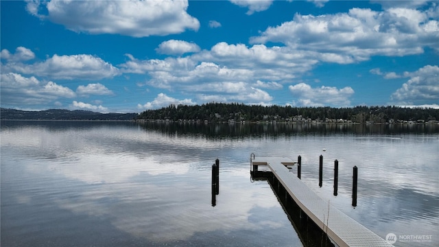 2837 E Lake Sammamish Pkwy NE, Sammamish, WA 98074 - dock area with a water view