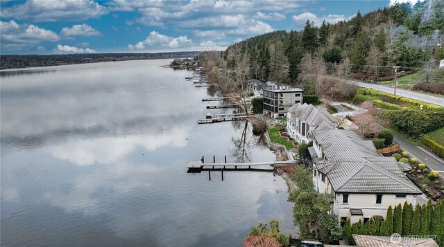 2837 E Lake Sammamish Pkwy NE, Sammamish, WA 98074 - drone / aerial view of a large body of water and a heavily wooded area