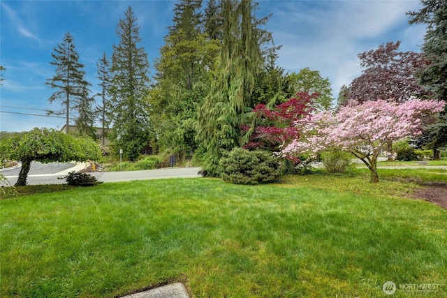 707 Harvest Rd, Bothell, WA 98012 - view of green lawn