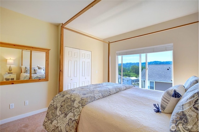 14721 1st Ln NE Unit 102, Duvall, WA 98019 - carpeted bedroom with baseboards, access to exterior, and a closet