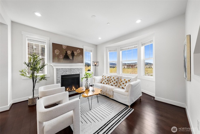 living room featuring plenty of natural light, wood-type flooring, and a glass covered fireplace