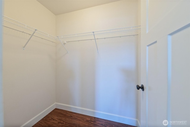 spacious closet featuring dark wood-style flooring