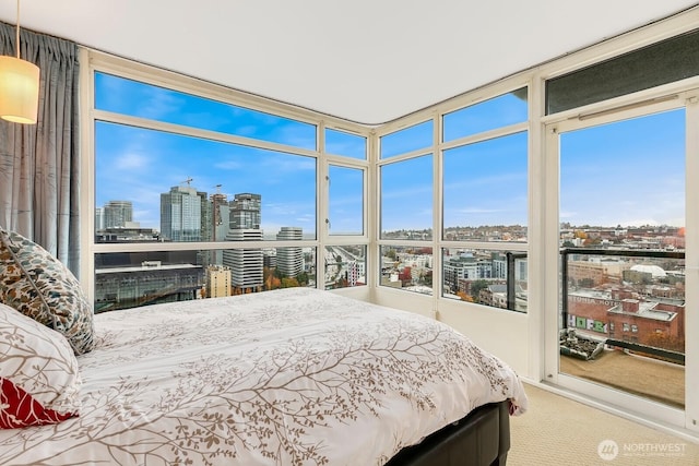 bedroom featuring a city view and carpet floors