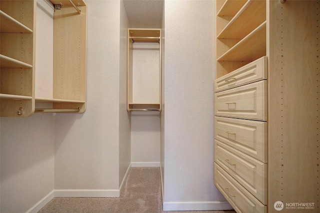 spacious closet featuring carpet floors