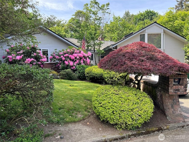 view of home's exterior featuring a yard