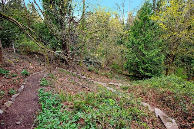 view of local wilderness
