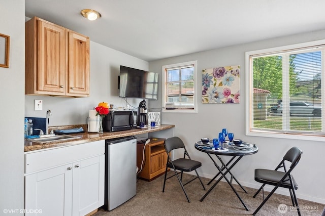 21058 State Highway 17 N, Soap Lake, WA 98851 - kitchen with refrigerator, a sink, carpet floors, baseboards, and black microwave
