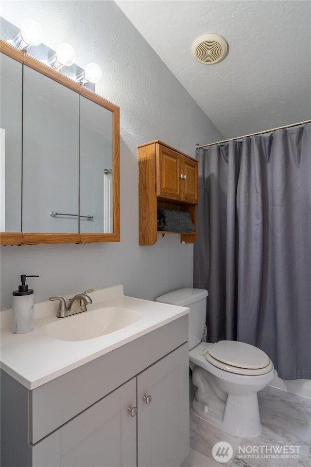 bathroom featuring toilet, vanity, vaulted ceiling, and a shower with shower curtain