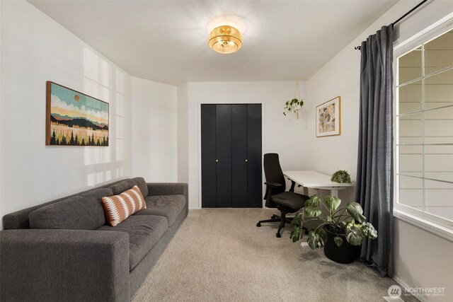 view of carpeted home office
