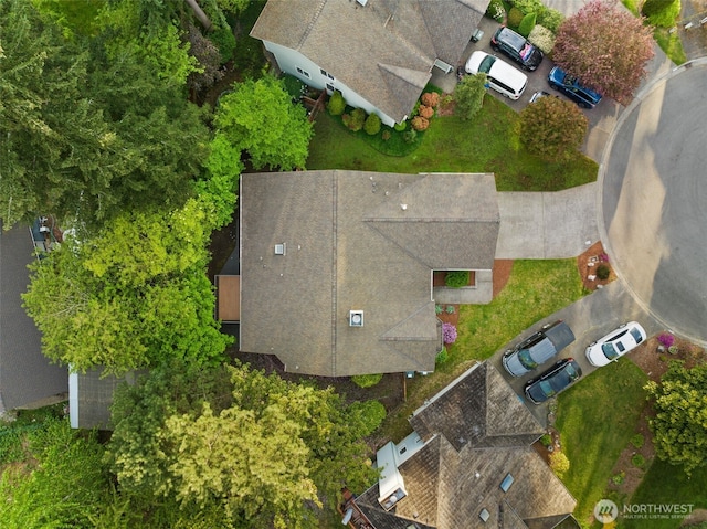 bird's eye view