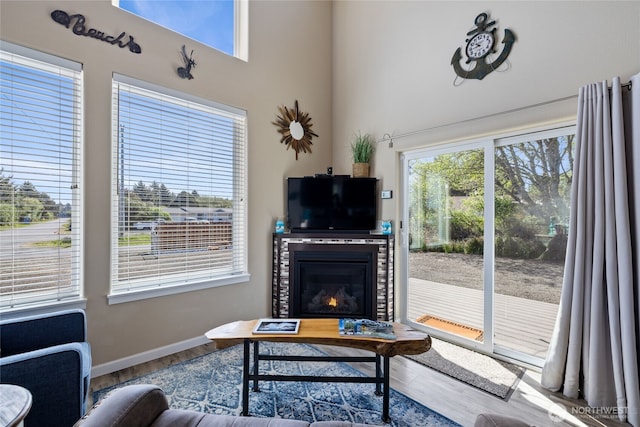 living area featuring wood finished floors, a glass covered fireplace, a high ceiling, and baseboards
