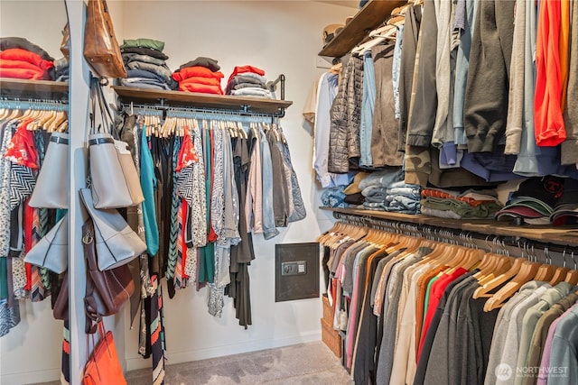 spacious closet featuring carpet flooring