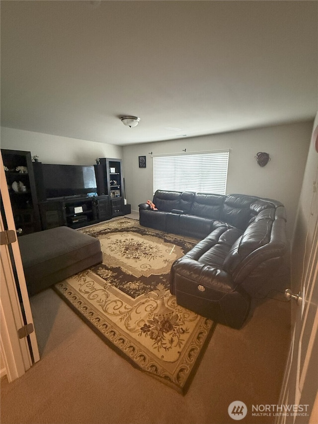 17510 80th Avenue Ct E, Puyallup, WA 98375 - living area featuring carpet floors