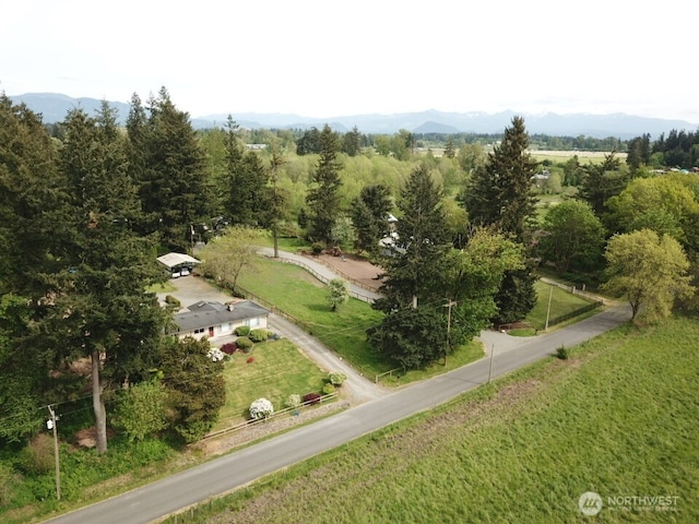 39418 200th Ave SE, Auburn, WA 98092 - aerial view of mountains